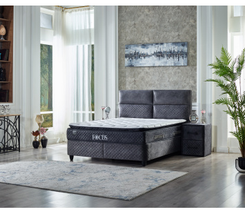 al6-fcs1_002_18_01_2024_2566591